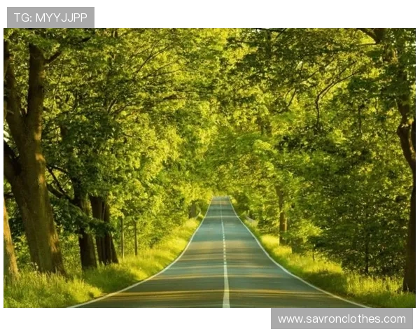 凯发的网址官方入口查询，确保每位用户都能找到正确的登录地址